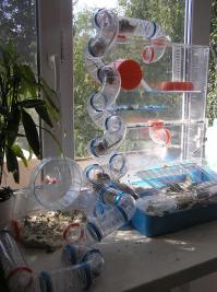 Аксессуары к клетке для грызунов Ferplast